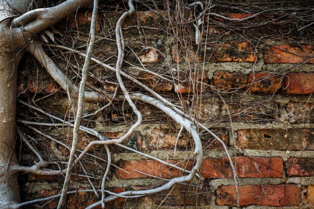 kingwood-foundation-repair-root-barrier-1_orig