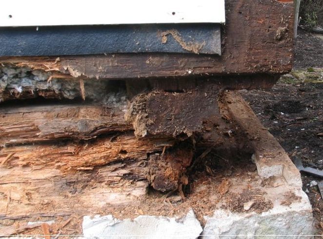 Sill and Floor Joist Replacement in Kingwood, TX